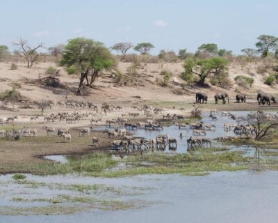 Parque nacional de Nxai Pan Botswana