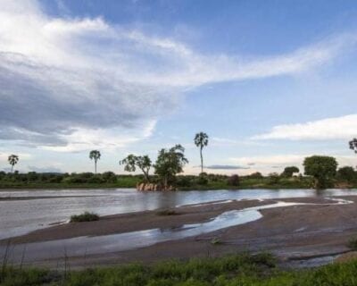 Parque nacional Ruaha Tanzania