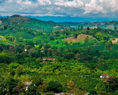 Pereira Colombia