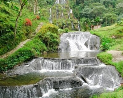 Pereira Colombia