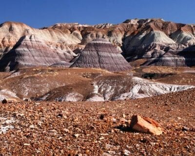 (2.) Petrified Forest Parque Nacional AZ Estados Unidos