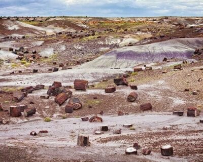 (3.) Petrified Forest Parque Nacional AZ Estados Unidos