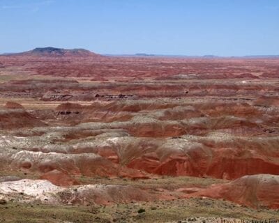 (4.) Petrified Forest Parque Nacional AZ Estados Unidos