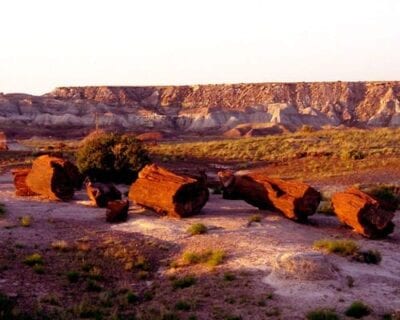 (1.) Petrified Forest Parque Nacional AZ Estados Unidos