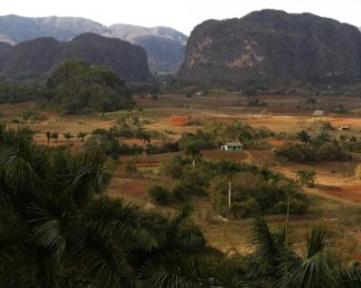 (2.) Pinar del Río Cuba