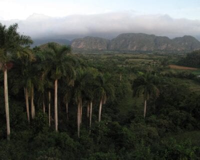 (3.) Pinar del Río Cuba