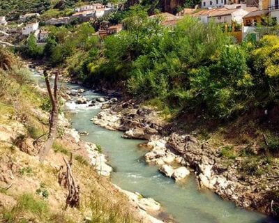 Pinos Puente España