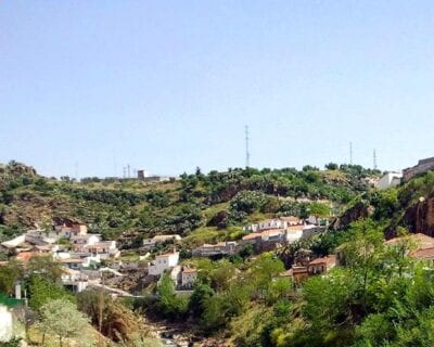 Pinos Puente España