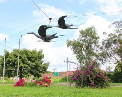 (2.) Pitalito Colombia