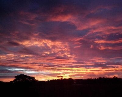 (3.) Pitalito Colombia