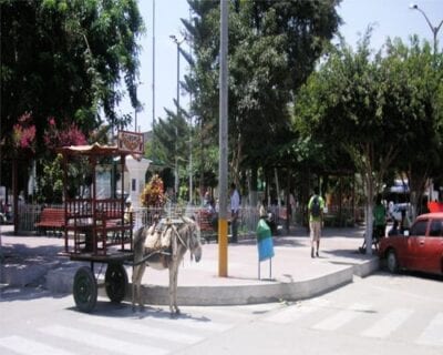 (4.) Piura Perú