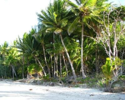 Port Douglas (Craigle) Australia