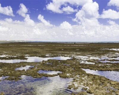 Porto de galinhas Brasil