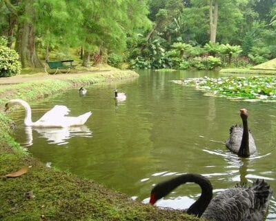 (3.) Povoação Portugal
