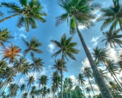 (3.) Puerto Plata República Dominicana