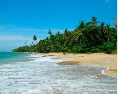 Puerto Viejo De Talamanca Costa Rica