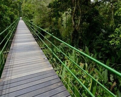 Puerto Viejo De Talamanca Costa Rica