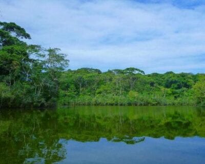 Puerto Viejo Sarapiqui Costa Rica