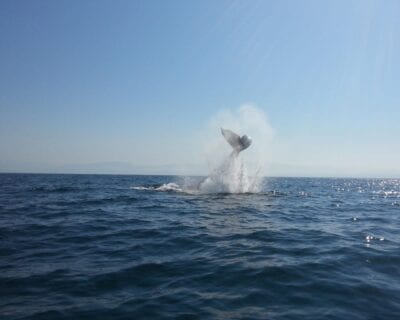 (2.) Punta Mita México