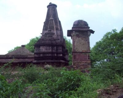 (2.) Ranthambore Parque Nacional India