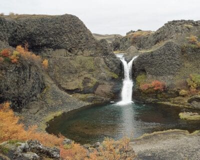 Reyholt Islandia