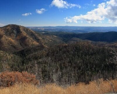(2.) Ruidoso NM Estados Unidos