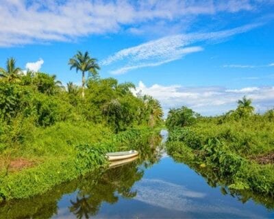 Réunion