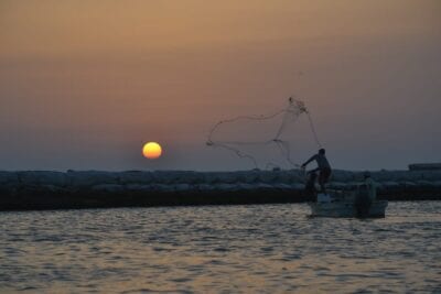 (1.) Río Lagartos México