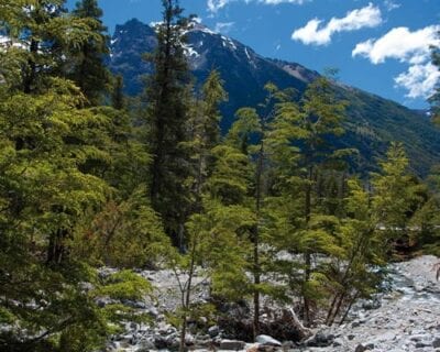 Río Negro Argentina