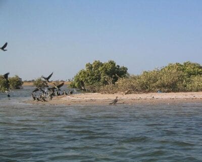 Saloum Senegal