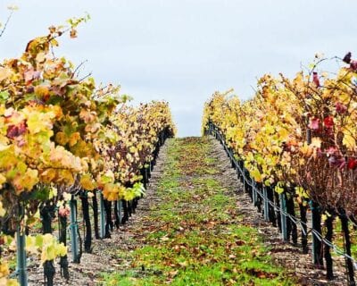 Santa María (California) Estados Unidos