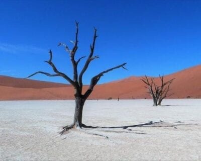 Sesriem Naukluft Namibia