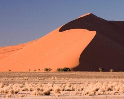 Sesriem Naukluft Namibia