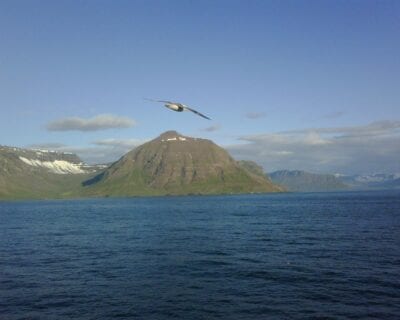 Seydisfjourdur Islandia