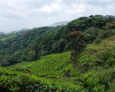 Sinharaja Sri Lanka