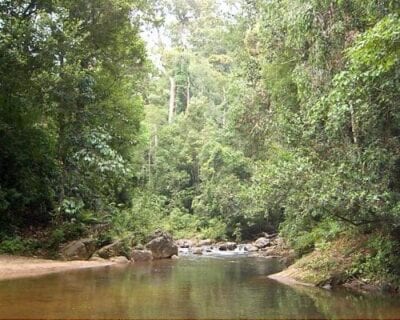 Sinharaja Sri Lanka