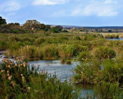 (1.) Skukuza República de Sudáfrica