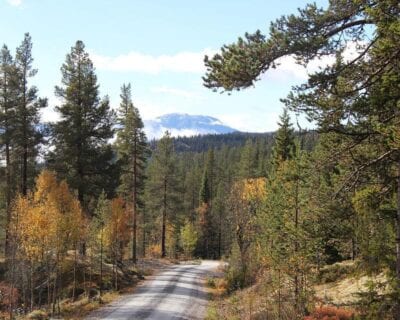 (3.) Telemark Noruega