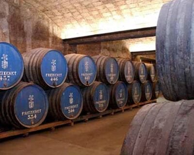 (3.) Tequisquiapan México