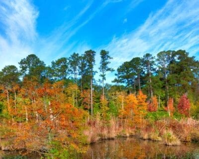 Tupelo (Mississippi) Estados Unidos