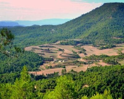 Valls España