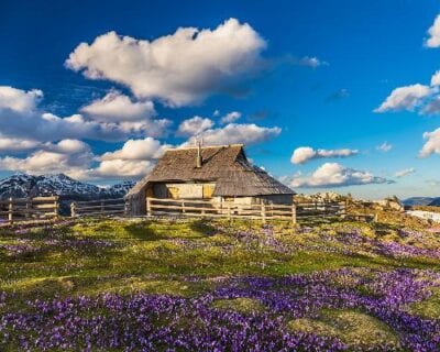 Velika planina Eslovenia