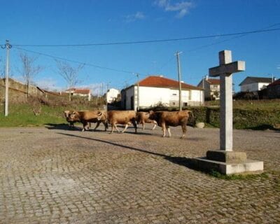 Vimioso Portugal