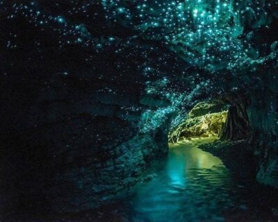 Waitomo Nueva Zelanda