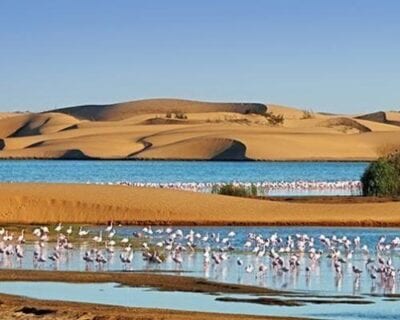 Walvis Bay Namibia