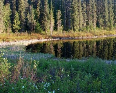 Wells Gray Canadá