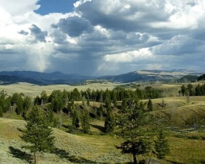 (1.) Yellowstone Parque Nacional WY Estados Unidos