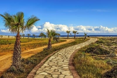 Camino De Ronda Palmeras Mar España