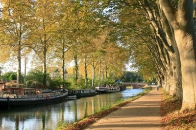 Canaldumidi Toulouse árboles Francia