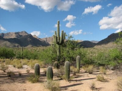 Cañón de Sabino Tucsón AZ Estados Unidos